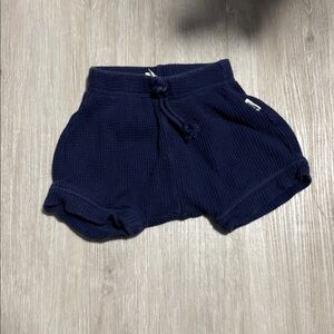 Bonds Navy Blue Knit Shorts